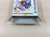 LodossTouSenkiEiyuuKishiden Record of Lodoss War BOXED Game Boy Japan - UB3497
