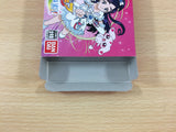 Futari wa Pretty Cure BOXED GameBoy Advance Japan - UC2146