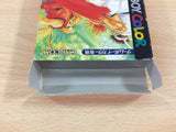 Street Fighter Alpha Warriors' Dreams BOXED GameBoy Game Boy Japan - UC8879