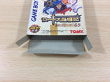 LodossTouSenkiEiyuuKishiden Record of Lodoss War BOXED Game Boy Japan - UB3497