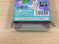 ub9534 Phantasy Star Gaiden BOXED Sega Game Gear Japan