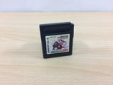LodossTouSenkiEiyuuKishiden Record of Lodoss War BOXED Game Boy Japan - UB3497
