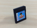 Detective Conan Rocks Island Treasure Legend BOXED GameBoy Game Boy - UD6211
