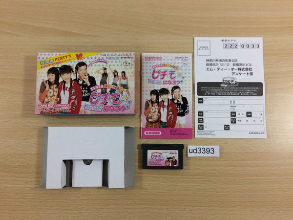 UD3393 Pichimo Ni Narou Let's become Pichimo BOXED GameBoy Advance Japan