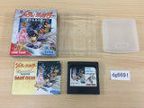 Shadam Crusader Harukanaru Oukoku BOXED Sega Game Gear Japan - DG6691