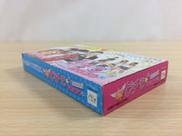 UD3393 Pichimo Ni Narou Let's become Pichimo BOXED GameBoy Advance Japan