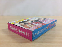 UD3393 Pichimo Ni Narou Let's become Pichimo BOXED GameBoy Advance Japan