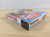 Magical Puzzle Popils BOXED Sega Game Gear Japan - UB9535