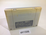Dragon Quest V 5 SNES Super Famicom Japan - SH1306