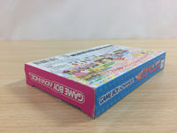 UD3393 Pichimo Ni Narou Let's become Pichimo BOXED GameBoy Advance Japan