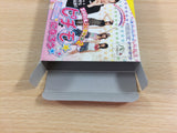 UD3393 Pichimo Ni Narou Let's become Pichimo BOXED GameBoy Advance Japan