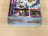 Shadam Crusader Harukanaru Oukoku BOXED Sega Game Gear Japan - DG6691