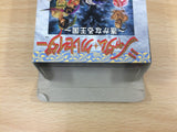 Shadam Crusader Harukanaru Oukoku BOXED Sega Game Gear Japan - DG6691