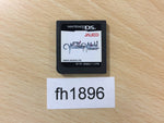 FH1896 WiZmans World Nintendo DS Japan