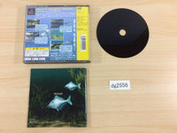 DG2556 Fish Eyes Playstation The Best PS1 Japan