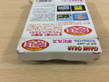 Magical Puzzle Popils BOXED Sega Game Gear Japan - UB9535