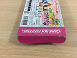 UD3393 Pichimo Ni Narou Let's become Pichimo BOXED GameBoy Advance Japan