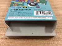 DI3394 Taisen Mahjong Hao Pai 2 BOXED Sega Game Gear Japan
