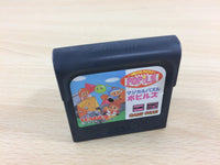 ub9535 Magical Puzzle Popils BOXED Sega Game Gear Japan