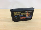 Tecmo Super Bowl BOXED NES Famicom Japan - UB4940