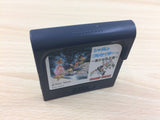 Shadam Crusader Harukanaru Oukoku BOXED Sega Game Gear Japan - DG6691