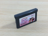 UD3393 Pichimo Ni Narou Let's become Pichimo BOXED GameBoy Advance Japan