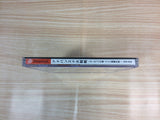 Advanced Daisenryaku Europe no Arashi Dreamcast Japan - FF7498