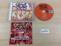 dg2068 Giant Gram All Japan ProWrestling 2 Dreamcast Japan