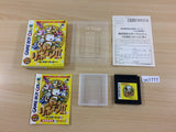 Kaseki Sousei Reborn 2 BOXED GameBoy Game Boy Japan - UC1777