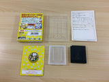 Kaseki Sousei Reborn 2 BOXED GameBoy Game Boy Japan - UC1777