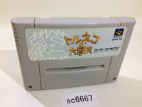 SC6667 Torneco no Daibouken Fushigi no Dungeon SNES Super Famicom Japan