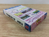 DI4000 Inuyasha Kagome No Yumenikki BOXED Wonder Swan Bandai Japan
