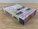 DI4000 Inuyasha Kagome No Yumenikki BOXED Wonder Swan Bandai Japan
