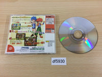 DF5930 PLUS PLUM Dreamcast Japan