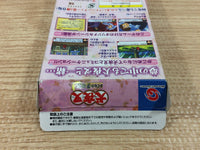 DI4000 Inuyasha Kagome No Yumenikki BOXED Wonder Swan Bandai Japan