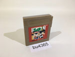 BU4365 Ranma 1/2 GameBoy Game Boy Japan