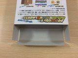 Topgear Pocket 2 BOXED GameBoy Game Boy Japan - UB9667