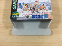 df2347 Grandia Parallel Trippers BOXED GameBoy Game Boy Japan