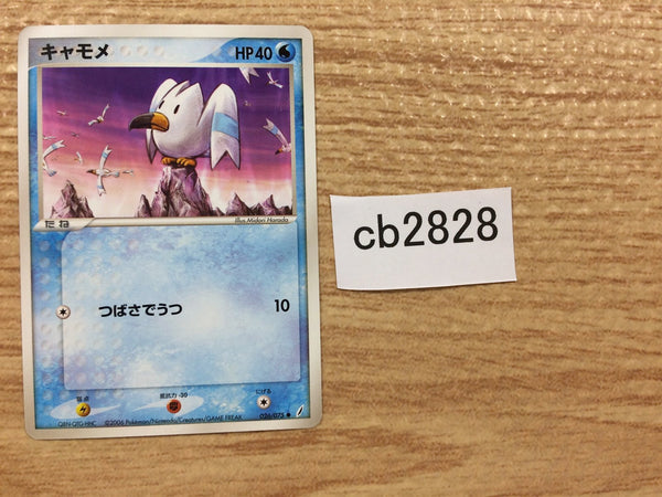 CB2828 Wingull Water C PCG8 026/075 Pokemon Card TCG Japan