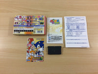 UC5694 Puyo Puyo Fever BOXED GameBoy Advance Japan