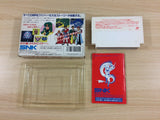 ub7507 Crystalis God Slayer Haruka Tenkuu no Sonata BOXED NES Famicom Japan