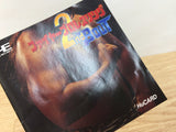 DI2510 Fire Pro Wrestling 2nd Bout BOXED PC Engine Japan