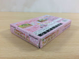 UC9472 Sylvanian Families 4 BOXED GameBoy Advance Japan