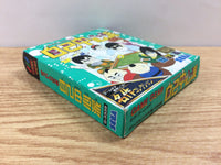 dh7555 Gambler Jiko Chuushinha BOXED Sega Game Gear Japan