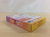 Love Hina Pocket BOXED GameBoy Game Boy Japan - UD1953