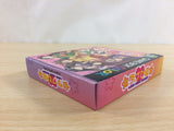 Love Hina Pocket BOXED GameBoy Game Boy Japan - UD1953