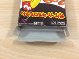 Pocket Kyoro Chan BOXED GameBoy Game Boy Japan - UD5529