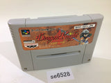 Dragon Knight 4 SNES Super Famicom Japan - SE6528