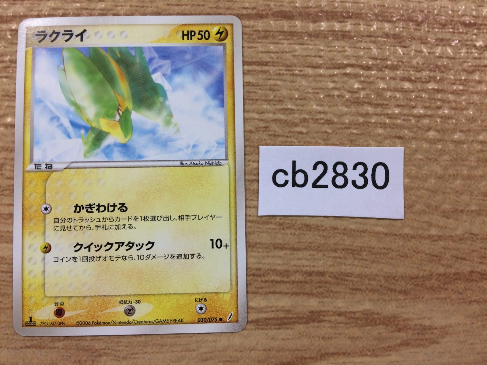 不毛の大地 買取：《不毛の大地/Wasteland》[TMP] 土地U | 日本最大級 MTG