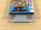 ua9920 OnePiece Yume no Rufi Kaizokudan Tanjou! BOXED GameBoy Game Boy Japan
